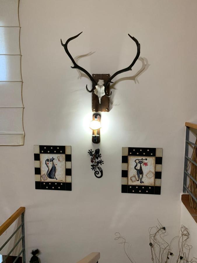 Apartamento Turistico El Esquilon Calzadilla Esterno foto