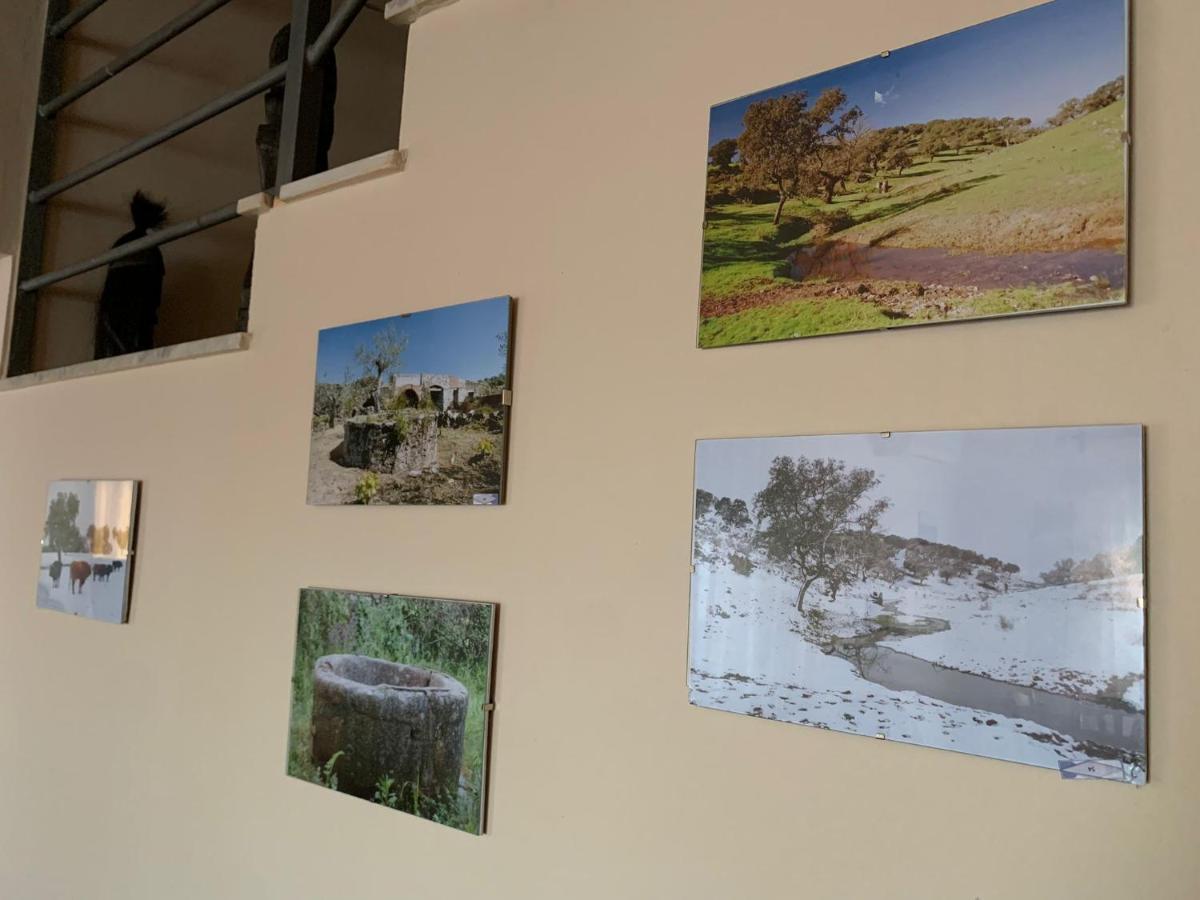 Apartamento Turistico El Esquilon Calzadilla Esterno foto